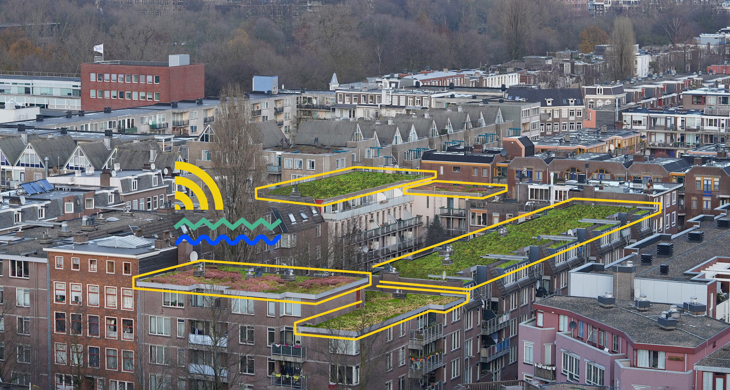 RESILIO – Blauw groene daken – Oosterparkbuurt RESILIO - Blauw groene daken - Oosterparkbuurt